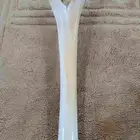 عصا من عظم الجمل