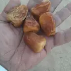 تمر سكري. انتاج. السنه. تقريبا اربعين كرتون 3 كيلو