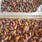 يوجد لدينا تمور مشكلات السعر علا السوم