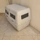 بيت للكلب بحجم كبير