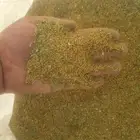 بذور برسيم امريكي