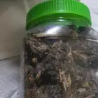 بخور عدني يمني فاخر والتوصيل لكل دول الخليج