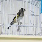 ذكري حسون بلدي تشرين