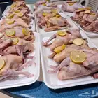 دجاج طازه
