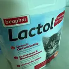 حليب قطط صغيرة