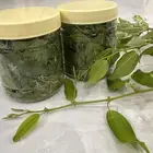 ابيع ورق السدر اخضر طازج ومطحون يختلف المتوفركيلو 40 ريال