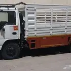 دينا ايجار بالمشوار