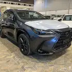 لكزس سعودي NX 350 AA 2025 متوفر عدة الوان