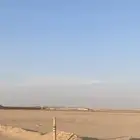 يوجد محل قريب من كبري الجويه فيه عريش داخله شبك غنم