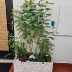 مشتل زهور الحياه لتنسيق وزراعة جميع الاشجار والنباتات