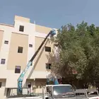 كرين دينا ونش رافعه سله كرينات لليجار بساعه او يوميه