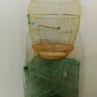 تصفية اقفاص