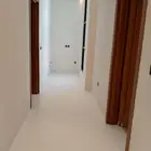 جلي بلاط تلمي الرخام