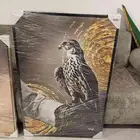 لوحة الصقر ولوحة سباق الخيل جديده للبيع