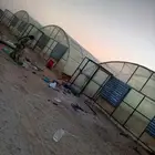 معلم ف  وتر يب بيوت محمي