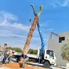 كرين ثلاثه طن الشراقيه اتصل نصل