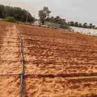مزرعة خضار للتقبيل أو للتنازل