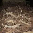 حطب ارطا مسحة شاص تيماء فغط