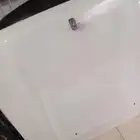 كبوت رفارف شاص