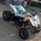 دباب سويدي مقاس 100