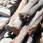 يوجد لدينا خشب وزوافر قديم