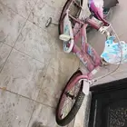 سكل مستخدم