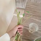 ظلف الماعز