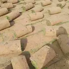 نجيل طبيعي