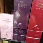 عطور بلوسون