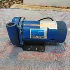 دينمو سمنان أمريكي واحد حصان