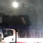 للايجار دينا ايسوزو مديل جديد