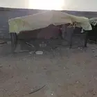 شبوك للبيع
