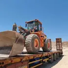 لوبدمتواجد في الوجه امالا ضبا