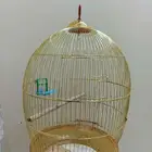 قفص ذهبي نظيف