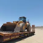 لوبد متواجد في الرياض