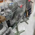 مراوح ماليزي   باكستاني