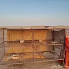 شبك دجاج او أرانب للبيع