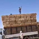 علاف