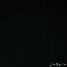 سلام عليكم مطلوب كلب لتبني هاسكي ام جيرمن فقط يكون مدرب