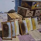 عسل قرض مشروط ومجرب