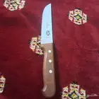 سكين ام طير السويسرية مقاس 14جديدة حدها موس