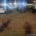 بيت شعر مقاس 4 4نظيف جدا