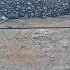 مقاول حجر جدران معده وبليد عايدي وقص لتواصل على الرقم 050904