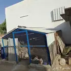 شبك دجاج 3 في 4 للبيع