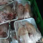 Ready slaughtered frozen squabs guaranteed health cleanlines