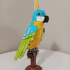 ليغو ببغاء مضيئ
