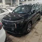 جيلي اوكافانجو 2025