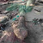 نقايل للبيع بجميع انواعه ومقاساته