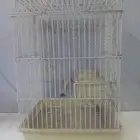 قفص بغبغاء اوكاسيكو