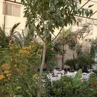 مشتل تنسيق الحدائق ابوعوض لله لبيع الشتلات والزهور